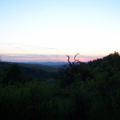 večerní návraty