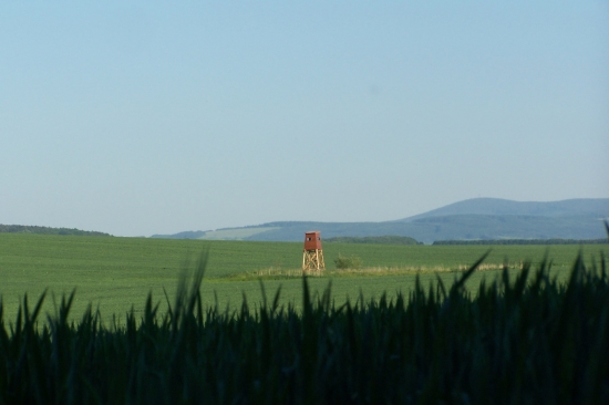 navečer jde příroda do modra