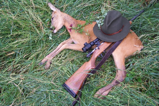 jedenáctá čekaná