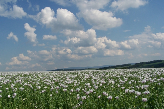 krajina pod sv.Antonínkem