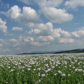 krajina pod sv.Antonínkem