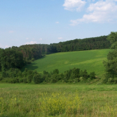 srnčí oblast