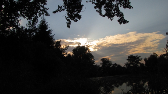 večer nad řekou Moravou