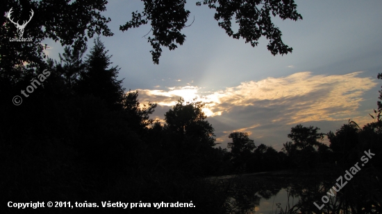 večer nad řekou Moravou