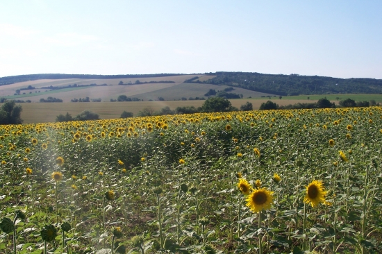 krajina na Uherskobrodsku