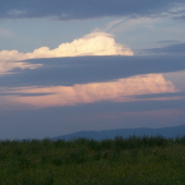 na  večerní čekané