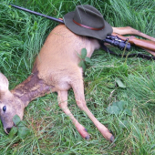 dnešní ráno za ročkem