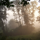 nynější počasí často připomíná období jelení říje