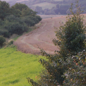 část našeho revíru