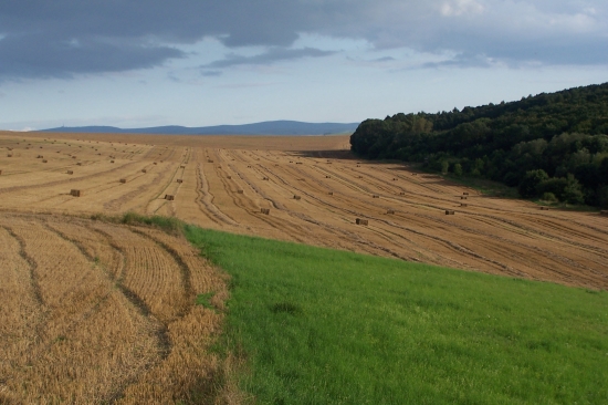 s výhledem na Karpaty-Javořinu