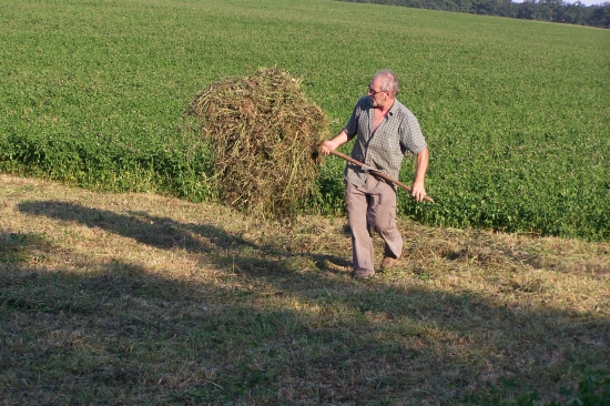 už je čas na zásoby