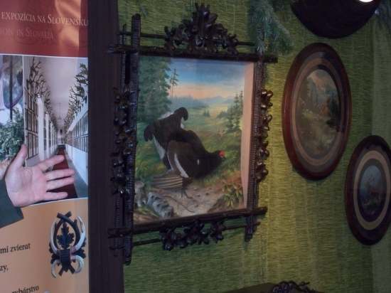 ptačí relief s tetřívkem