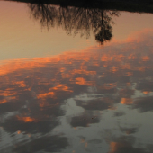 večerní zrcadlení