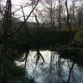 tichá zátoka na řece Olšavě