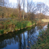 zrcadlení na řece Olšavě