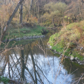 souznění -chvilka klidu u řeky
