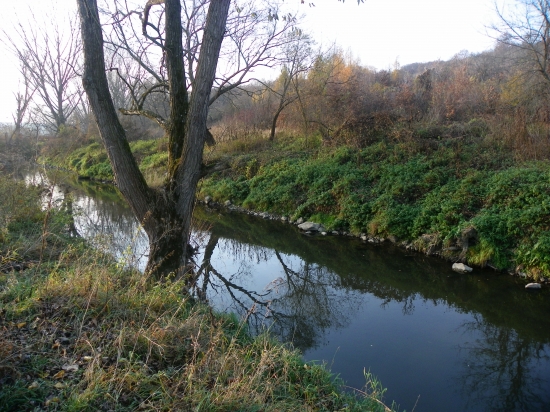 podzim u řeky Olšavy
