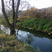 podzim u řeky Olšavy