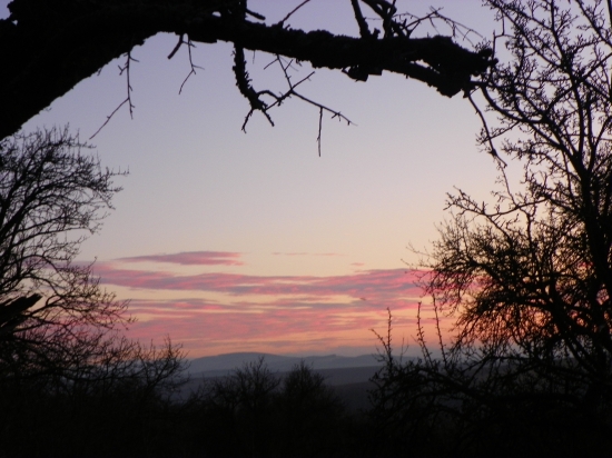 poslední záběr z večerní čekané