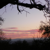 poslední záběr z večerní čekané