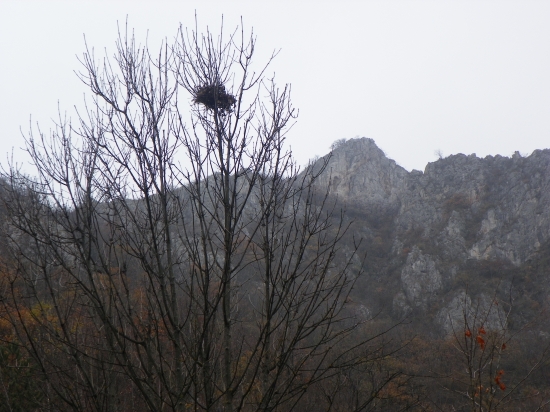 bydlení ve výšinách