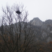 bydlení ve výšinách