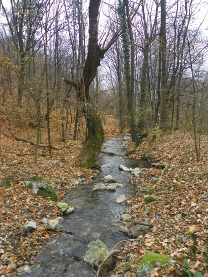 na potulkách u vody