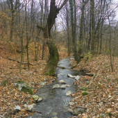 na potulkách u vody