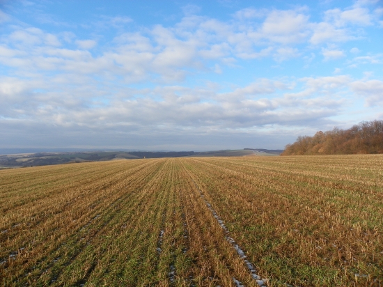 na příč krajinou Uherskobrodska