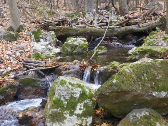 na potulkách u vody