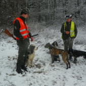 veroslavorlovsky a jeho psíci