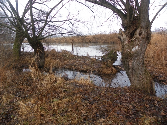 na potulkách u vody