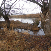 na potulkách u vody