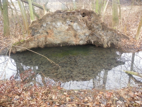 na potulkách u vody