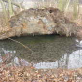 na potulkách u vody