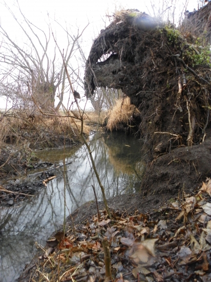 na potulkách u vody