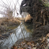 na potulkách u vody