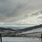 Moravsko Slovenské pomezí