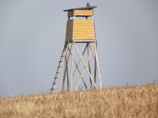 u nás jsme bez sňehu