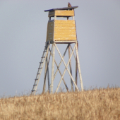 u nás jsme bez sňehu