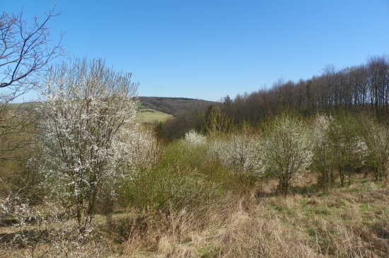 krajina  ožívá
