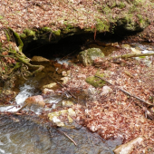 na potulkách u vody