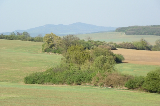 krajina-srnčí oblast