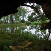 na potulkách u vody