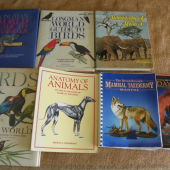 něco z mojí knižnice