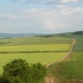 polní honitby-Uhersko Brodsko
