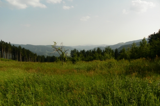 Moravsko Slovenské pomezí