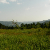 Moravsko Slovenské pomezí
