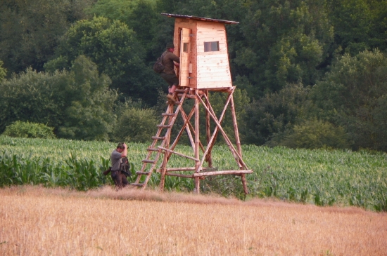 Věroslav a Jarek jdou na srnce s id-174127