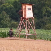 Věroslav a Jarek jdou na srnce s id-174127